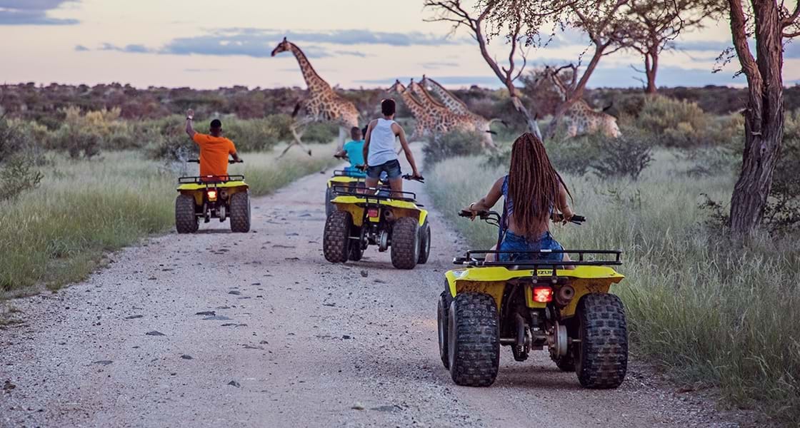 South Africa - Come Find Your Joy - Active Adventure