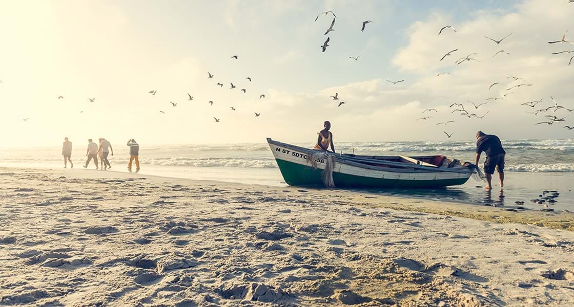 South Africa - Come Find Your Joy - Sun Soaked Coastal - KwaZulu Natal - Sardine Rush